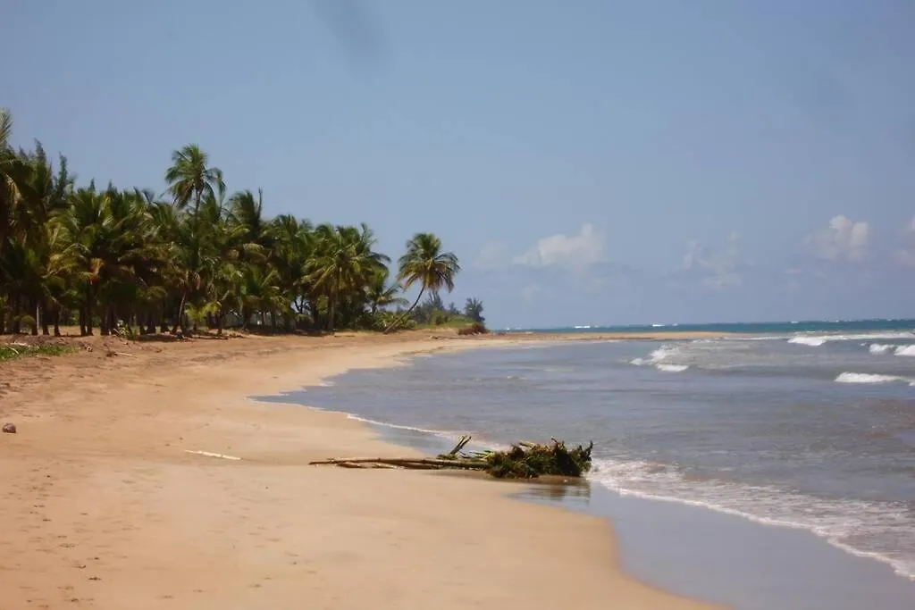 Studio Villa, Golf Course And Lake Views, Rio Mar Resort Rio Grande Villa